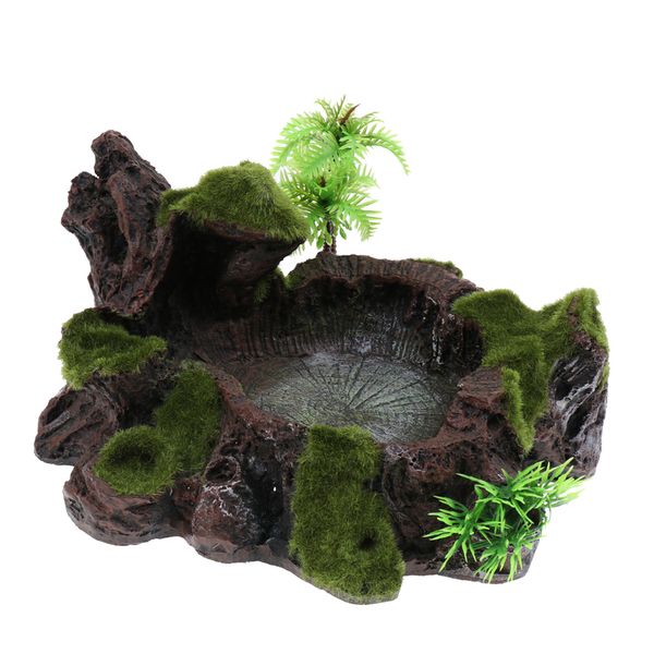 plant moss decorative resin roack bowl food water dish feeder plate for terrarium reptile tanks
plant moss decorative resin roack bowl food water dish feeder plate for terrarium reptile tanks