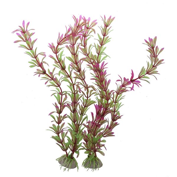 decorations sodial(r) 2 pcs 11.4" artifical fish tank decoration water plant purple green
decorations sodial(r) 2 pcs 11.4" artifical fish tank decoration water plant purple green