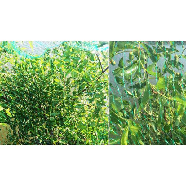 5x10m green anti bird net lightweight protection crops flower garden protection tool
5x10m green anti bird net lightweight protection crops flower garden protection tool