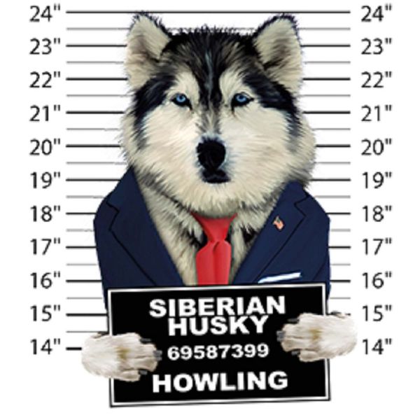 siberian husky mug ssize youth small to 6 x large t shirt pick your size 2019 new men summer o-neck custom design t shirt
siberian husky mug ssize youth small to 6 x large t shirt pick your size 2019 new men summer o-neck custom design t shirt