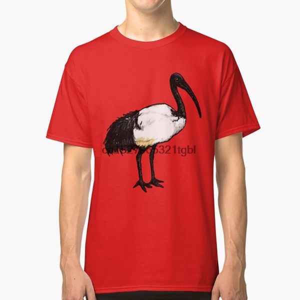 индия ибис тенниска индии ибис жутких тварей птиц бирдинг birdwatching наблюдение за птицами ibis водоплавающих птиц
индия ибис тенниска индии ибис жутких тварей птиц бирдинг birdwatching наблюдение за птицами ibis водоплавающих птиц