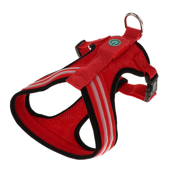 двойной fiber optic pet нагрудный собак harness регулируемая открытый pet vest easy control
двойной fiber optic pet нагрудный собак harness регулируемая открытый pet vest easy control