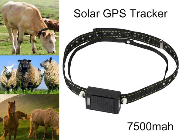 gps tracker 10000mah солнечной энергии зарядки ip67 водонепроницаемый крупный рогатый скот коровы овцы лошади верблюды маячок на открытом во
gps tracker 10000mah солнечной энергии зарядки ip67 водонепроницаемый крупный рогатый скот коровы овцы лошади верблюды маячок на открытом во