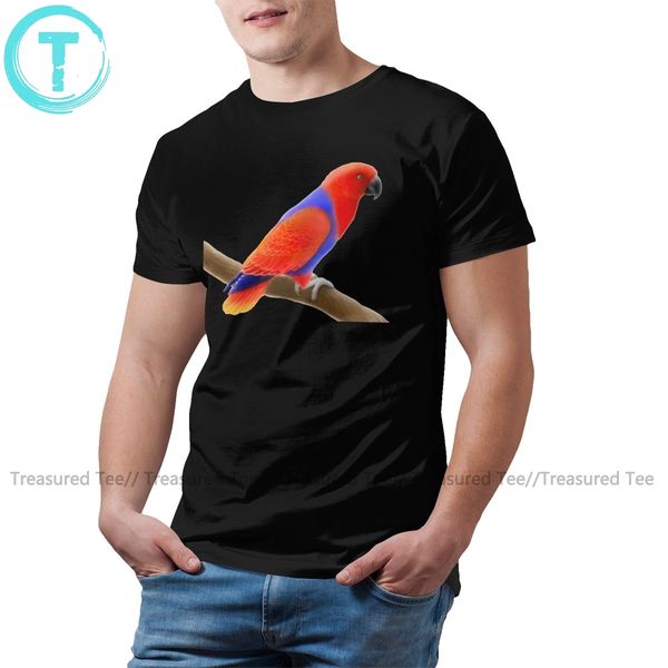 cockatoo t shirt female eclectus parrot t-shirt summer printed tee shirt man short sleeves plus size tshirt
cockatoo t shirt female eclectus parrot t-shirt summer printed tee shirt man short sleeves plus size tshirt