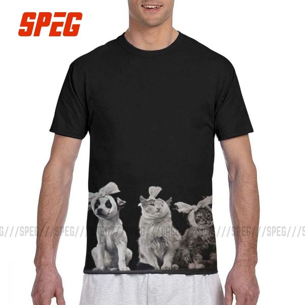 men puppy and cats veterinary veterinarian clinic t shirts dog polyester clothes humor all over print full 3d tee t-shirt
men puppy and cats veterinary veterinarian clinic t shirts dog polyester clothes humor all over print full 3d tee t-shirt