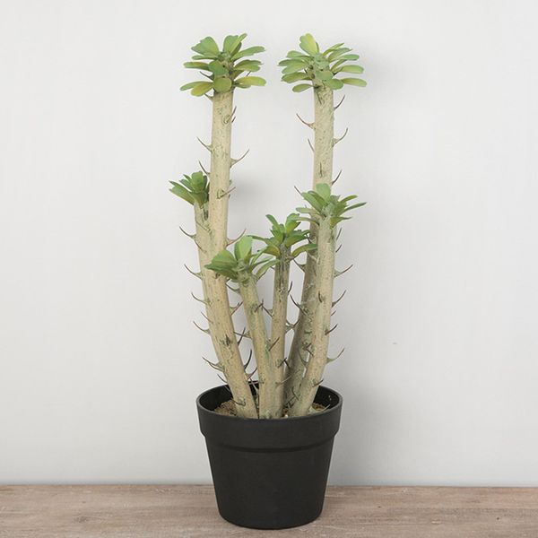 decorative flowers & wreaths 50cm artificial cylindrical cactus plants tropical plastic rare potted art crafts modeling props el office balc
decorative flowers & wreaths 50cm artificial cylindrical cactus plants tropical plastic rare potted art crafts modeling props el office balc