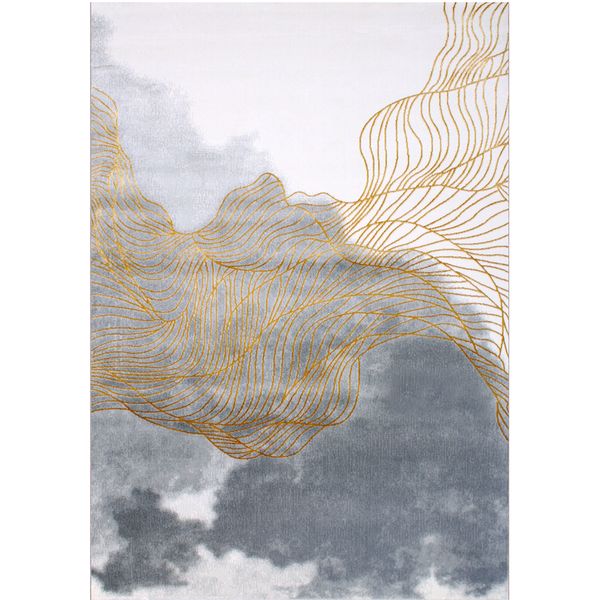 80*120cm european and american modern golden luxury bedroom dining living room carpets sofa abstract art rug
80*120cm european and american modern golden luxury bedroom dining living room carpets sofa abstract art rug