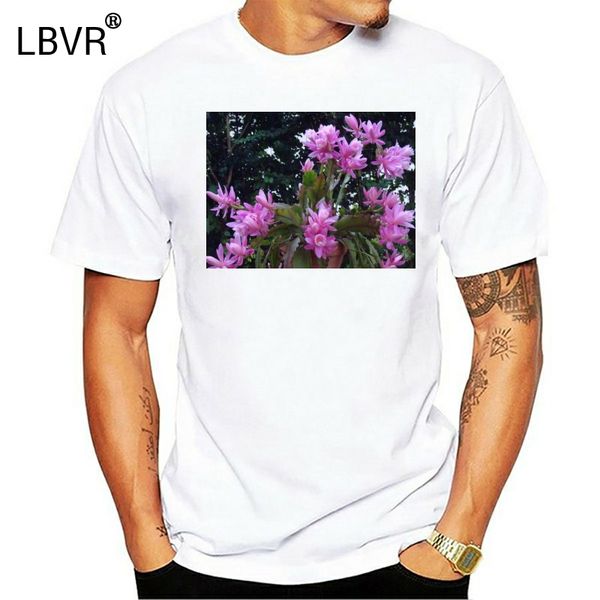 men tshirt pink hanging basket plant zygocactus lilac princess classic t shirt printed t-shirt tees top
men tshirt pink hanging basket plant zygocactus lilac princess classic t shirt printed t-shirt tees top