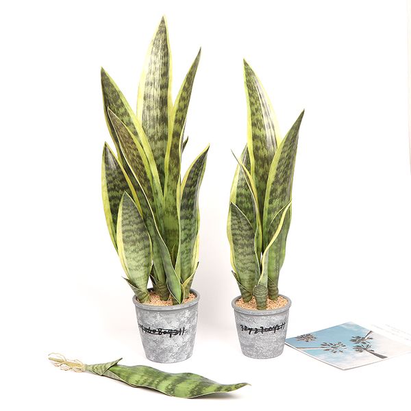 decorative flowers & wreaths artificial succulent plant agave desert tiger tail orchid office decoration pseudo bonsai tropical plants green
decorative flowers & wreaths artificial succulent plant agave desert tiger tail orchid office decoration pseudo bonsai tropical plants green