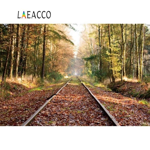 background material laeacco autumn backdrops tree railway forest fallen leaves sunshine scenic pography backgrounds pocall po studio
background material laeacco autumn backdrops tree railway forest fallen leaves sunshine scenic pography backgrounds pocall po studio