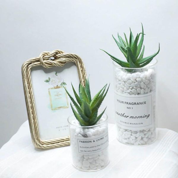 artificial aloe greenery decor simulation pvc aloe home decoration fake plant wedding ornament
artificial aloe greenery decor simulation pvc aloe home decoration fake plant wedding ornament
