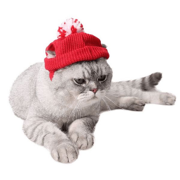 pet dog cat hat winter warm wool cap pet clothes outdoor indoor costume 
pet dog cat hat winter warm wool cap pet clothes outdoor indoor costume