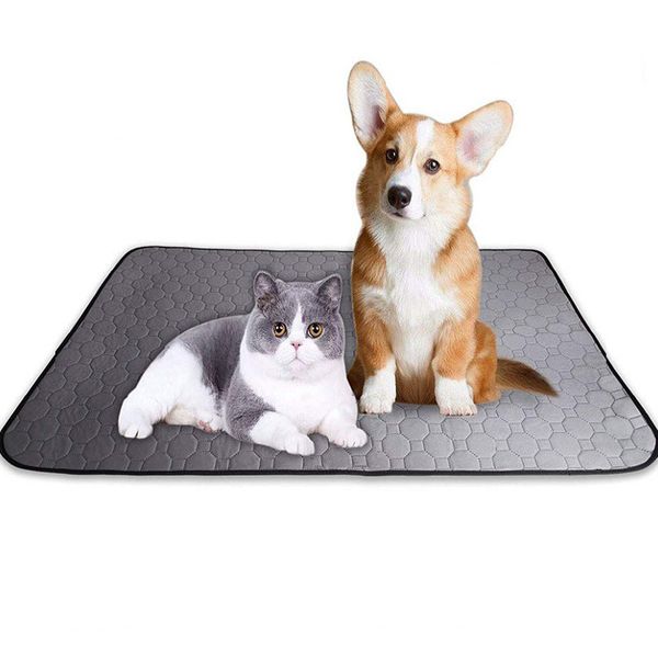 washable dog mats reusable diaper puppy dog pee pads non slip puppy pad control waterproof pet mats for travel
washable dog mats reusable diaper puppy dog pee pads non slip puppy pad control waterproof pet mats for travel