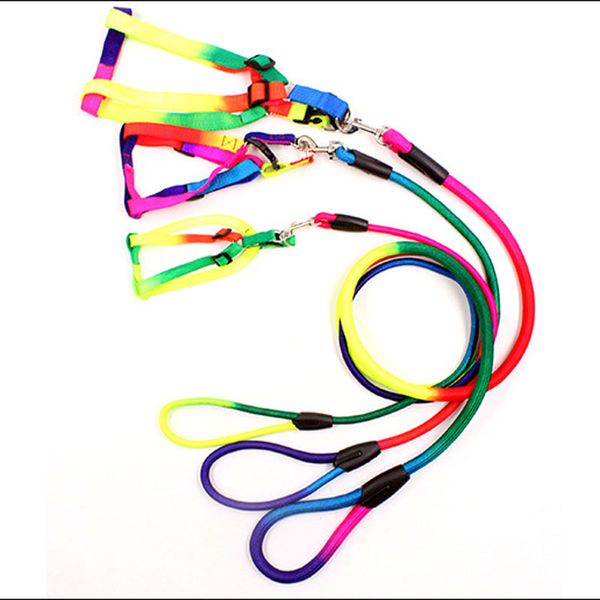 colorful dog leash rope 1.2m nylon belt pet cat traction walking lead round rope training leashes
colorful dog leash rope 1.2m nylon belt pet cat traction walking lead round rope training leashes
