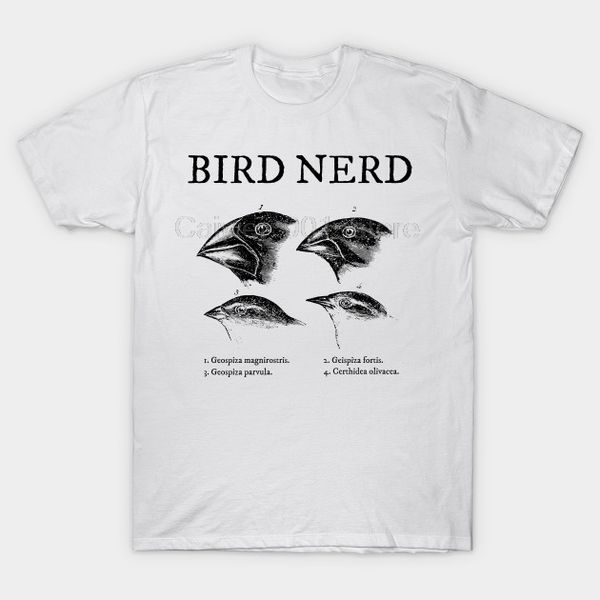 men's cool short sleeve t shirt darwin bird nerd casual o neck loose summer t shirt for men
men's cool short sleeve t shirt darwin bird nerd casual o neck loose summer t shirt for men