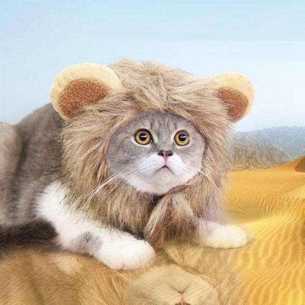 lion pet hat halloween christmas dog cat hat cute feather pets puppy birthday party helmet winter pug accessories for dogs cats
lion pet hat halloween christmas dog cat hat cute feather pets puppy birthday party helmet winter pug accessories for dogs cats