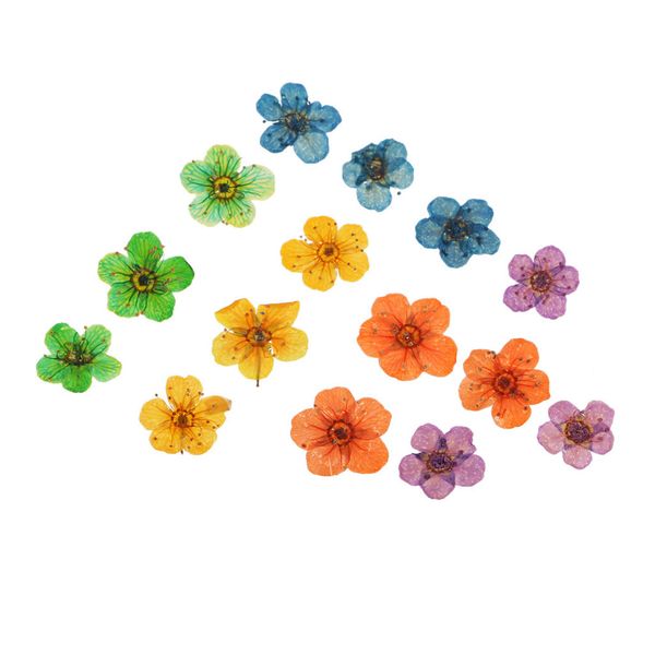 15 pieces natural real dried flowers embellishments for diy nail art jewelry making crafts diy pendants charms
15 pieces natural real dried flowers embellishments for diy nail art jewelry making crafts diy pendants charms