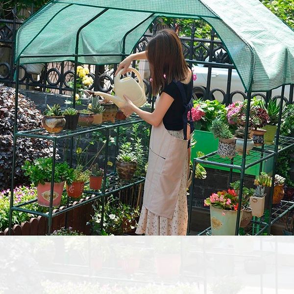 kraflo garden small flower greenhouse outdoor garden planting tent walk-in mini portable greenhouse
kraflo garden small flower greenhouse outdoor garden planting tent walk-in mini portable greenhouse