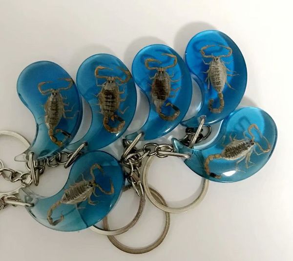 6 pcs cool car keyring yellow color scorpion amber key decor creative keychain, Slivery;golden
6 pcs cool car keyring yellow color scorpion amber key decor creative keychain, Slivery;golden