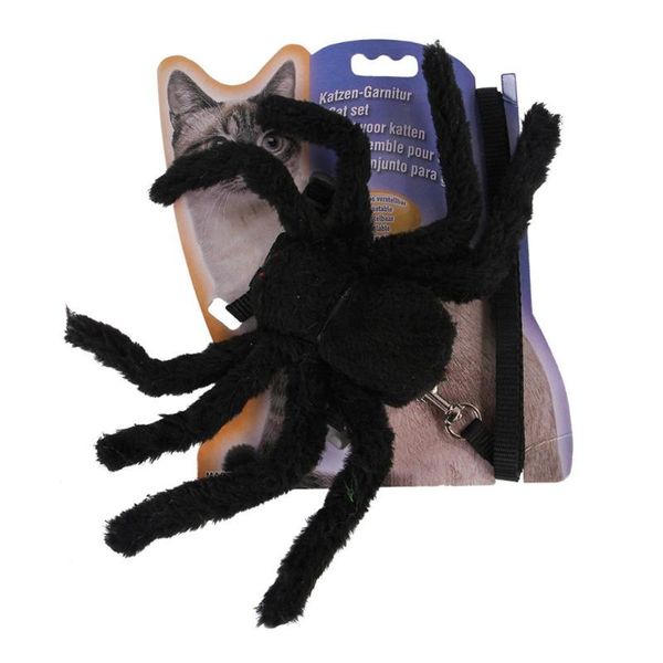 хэллоуин puppy pet костюмы одежды small dog harness воротник cat паук одеваем нагрудный harness поводок
хэллоуин puppy pet костюмы одежды small dog harness воротник cat паук одеваем нагрудный harness поводок