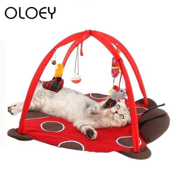 cat beds & furniture foldable hanging balls for cats mat bed hammock tent house comfortable hangmat kat pet toy kitten products
cat beds & furniture foldable hanging balls for cats mat bed hammock tent house comfortable hangmat kat pet toy kitten products