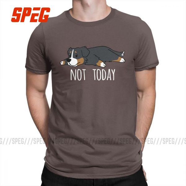 funny not today bernese mountain dog men t shirts awesome 100% cotton short sleeve tees crewneck t-shirts
funny not today bernese mountain dog men t shirts awesome 100% cotton short sleeve tees crewneck t-shirts