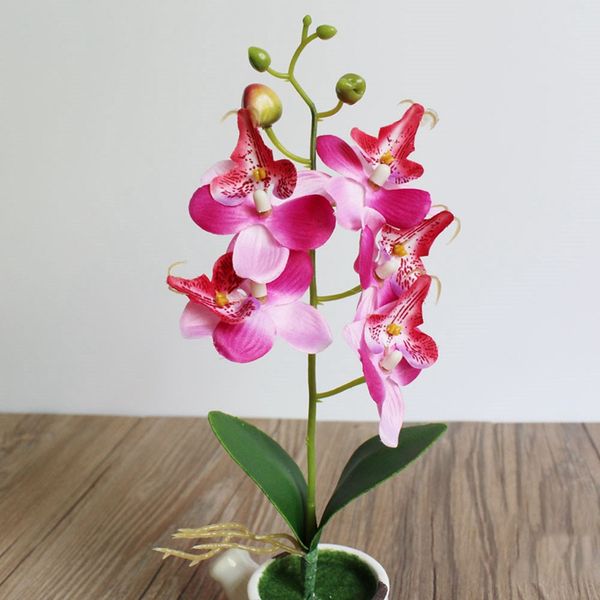 creative artificial flower phalaenopsis orchid silk real touch butterfly orchid wedding home decoration drop shipping 1pc
creative artificial flower phalaenopsis orchid silk real touch butterfly orchid wedding home decoration drop shipping 1pc