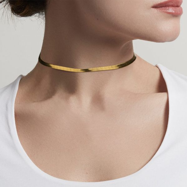 chokers stainless steel flat blade snake chain necklace for women collar accessories punk choker gold clavicle minimalist jewelry, Golden;silver
chokers stainless steel flat blade snake chain necklace for women collar accessories punk choker gold clavicle minimalist jewelry, Golden;silver
