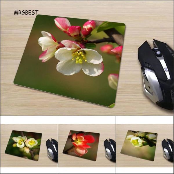 mrgbest малого размера mousepad на складе красота бегонию цветы стол маты удобное покрытие площадь коврик для gamer
mrgbest малого размера mousepad на складе красота бегонию цветы стол маты удобное покрытие площадь коврик для gamer