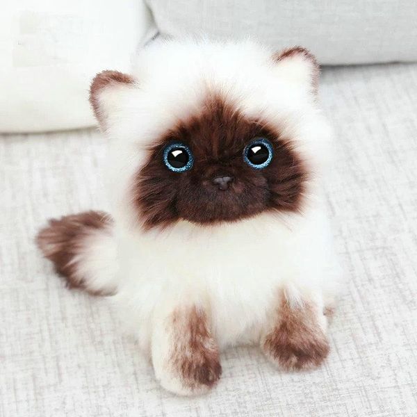 siamese face doll plush ragdoll sequins and doll blue cat toy cat eyes decor white plush brown cat toys plush simulation home bbyidg
siamese face doll plush ragdoll sequins and doll blue cat toy cat eyes decor white plush brown cat toys plush simulation home bbyidg