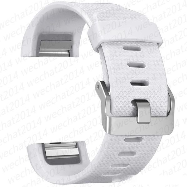 1000pcs silicone watch band watchband heart rate smart wristband bracelet wearable belt strap for fitbit charge 2
1000pcs silicone watch band watchband heart rate smart wristband bracelet wearable belt strap for fitbit charge 2