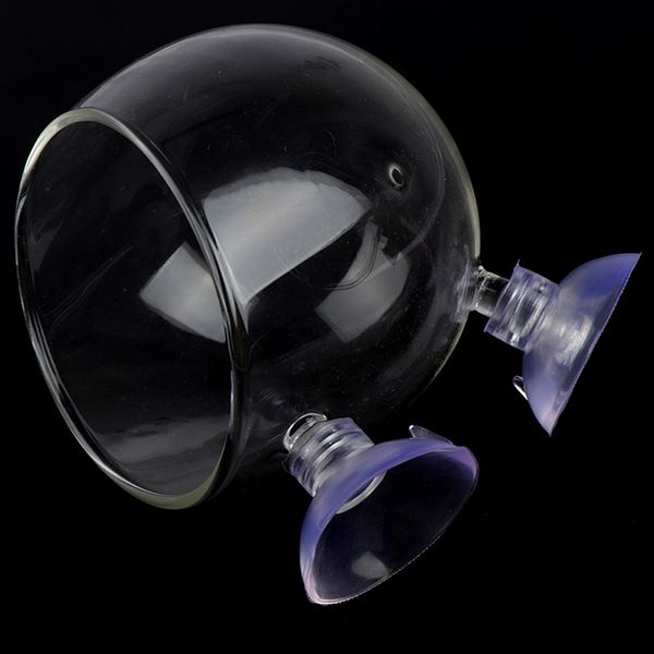 decorations fish tank mini crystal glass pot aquarium planter aquaculture cup decoration polka water potted aquatic planting cylinder
decorations fish tank mini crystal glass pot aquarium planter aquaculture cup decoration polka water potted aquatic planting cylinder