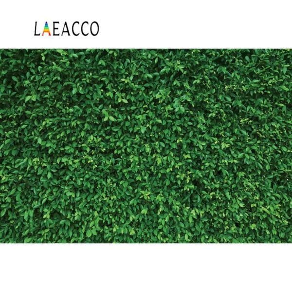background material laeacco tropical green vine wall birthday party love portrait pography backgrounds pocall pographic backdrops
background material laeacco tropical green vine wall birthday party love portrait pography backgrounds pocall pographic backdrops