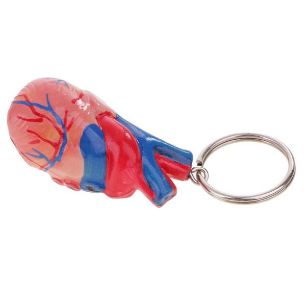 mini human heart model keychain decoration portable anatomy teaching tool collectibles halloween party favors, Silver
mini human heart model keychain decoration portable anatomy teaching tool collectibles halloween party favors, Silver