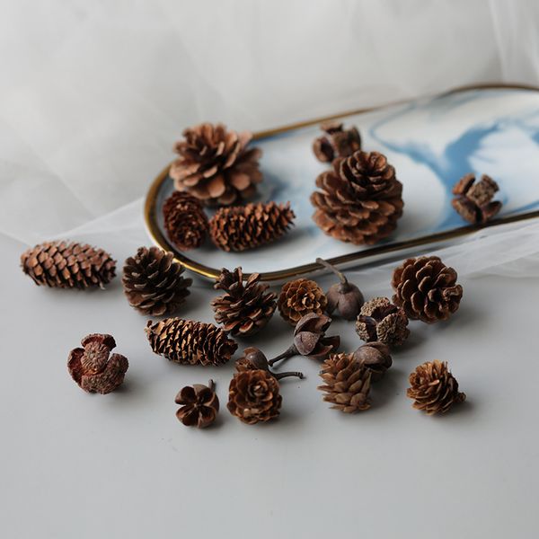 5pcs dry pine cone christmas tree decoration nature ornament dry nuts for fireplace l family
5pcs dry pine cone christmas tree decoration nature ornament dry nuts for fireplace l family