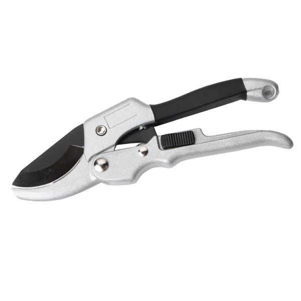 обрезка shear изогнутые буш heage трава кустарник carving 200 мм / 7,87 \ «\»
обрезка shear изогнутые буш heage трава кустарник carving 200 мм / 7,87 \ «\»