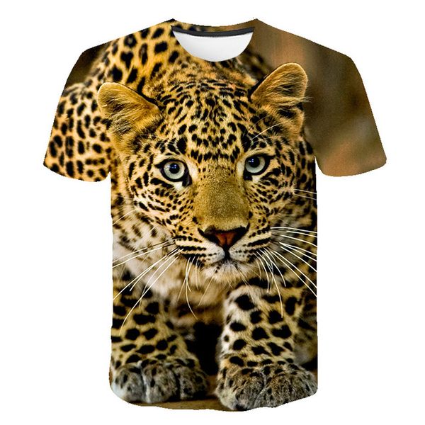 animal fiercely tiger o collar dizziness 3d print shirts aesthetic funny funny men clothing
animal fiercely tiger o collar dizziness 3d print shirts aesthetic funny funny men clothing