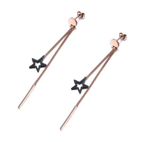 trendy star long tassel earrings for women girls rose gold stainless steel female party dangle earrings jewelry je19006, Silver
trendy star long tassel earrings for women girls rose gold stainless steel female party dangle earrings jewelry je19006, Silver