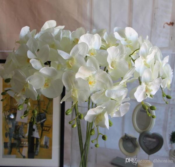 78cm artificial butterfly orchid flower silk phalaenopsis wedding home diy decoration fake flowers
78cm artificial butterfly orchid flower silk phalaenopsis wedding home diy decoration fake flowers