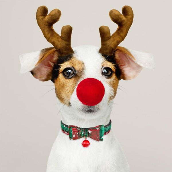 dog collars & leashes christmas pets collar &snow fabric female male puppy pet bow tie matching traction rope adjustable
dog collars & leashes christmas pets collar &snow fabric female male puppy pet bow tie matching traction rope adjustable
