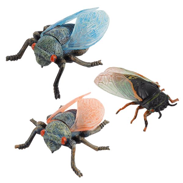 3 pieces fake simulated insect model realistic plastic cicada figures for collection science educational teaching aids
3 pieces fake simulated insect model realistic plastic cicada figures for collection science educational teaching aids