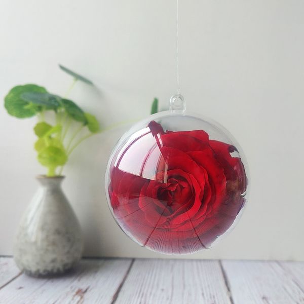 plastic ball transparent hollow round christmas candy candy cake can ps food grade mousse cake ball supplies 8vavk
plastic ball transparent hollow round christmas candy candy cake can ps food grade mousse cake ball supplies 8vavk