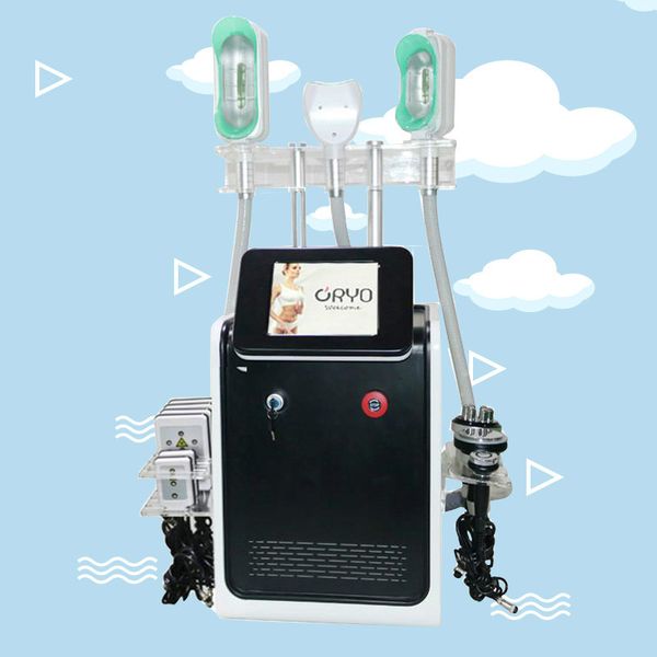 mini cryo 360 cryolipolisis fat ing machine double chin fat removal 360 cryolipolysis fat e abdomen belly slimming machine
mini cryo 360 cryolipolisis fat ing machine double chin fat removal 360 cryolipolysis fat e abdomen belly slimming machine