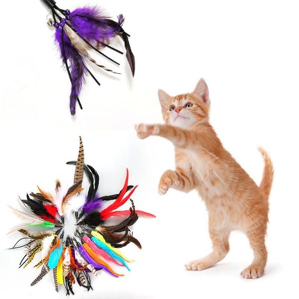 toys wand teaser play interactive products stick bell feather cat pet cat supplies toy toy funny bbybpw lipper
toys wand teaser play interactive products stick bell feather cat pet cat supplies toy toy funny bbybpw lipper
