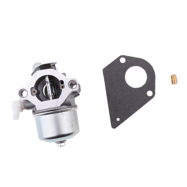 carburetor carb set with gasket for briggs-stratton replace 494894 495782 
carburetor carb set with gasket for briggs-stratton replace 494894 495782