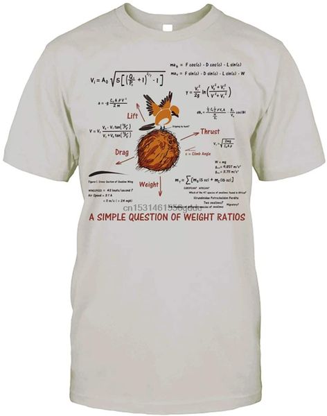leet group a simple question of weight ratios funny math t-shirt