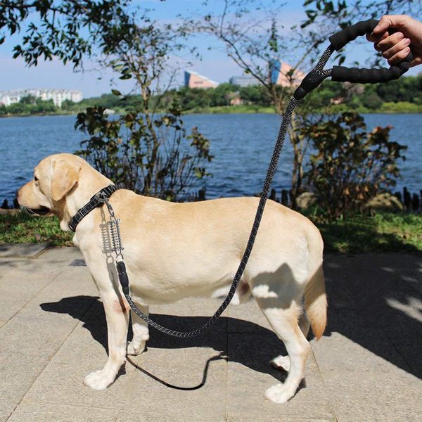 pet supplies dog hand holding rope multi-color cushioning round rope dog chain dog traction rope comfortable handle reflective traction
pet supplies dog hand holding rope multi-color cushioning round rope dog chain dog traction rope comfortable handle reflective traction