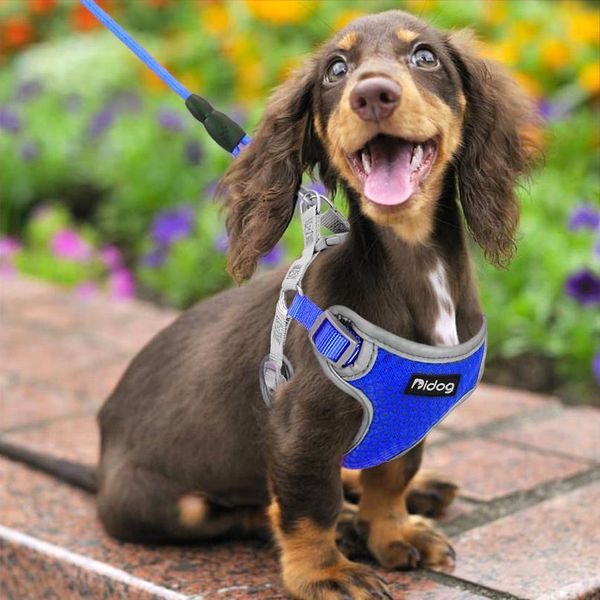 reflective dog harness adjustable nylon mesh pet puppy harness vest pets walking leash lead for small medium dogs arn wmtrol
reflective dog harness adjustable nylon mesh pet puppy harness vest pets walking leash lead for small medium dogs arn wmtrol