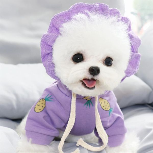 dog apparel autumn pet sweater teddy bichon vip pomeranian schnauzer cat yorkshire terrier puppy milk clothes1
dog apparel autumn pet sweater teddy bichon vip pomeranian schnauzer cat yorkshire terrier puppy milk clothes1