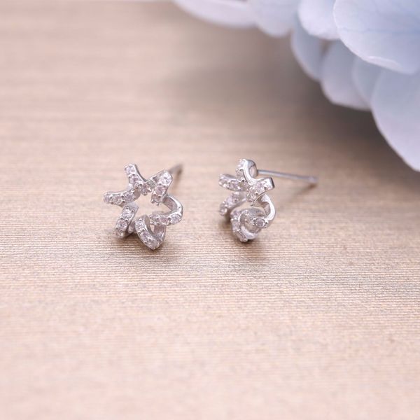 hengsheng s925 silver cross-border one product dropshipping star fashion korean style simple zircon stud earrings for women
hengsheng s925 silver cross-border one product dropshipping star fashion korean style simple zircon stud earrings for women